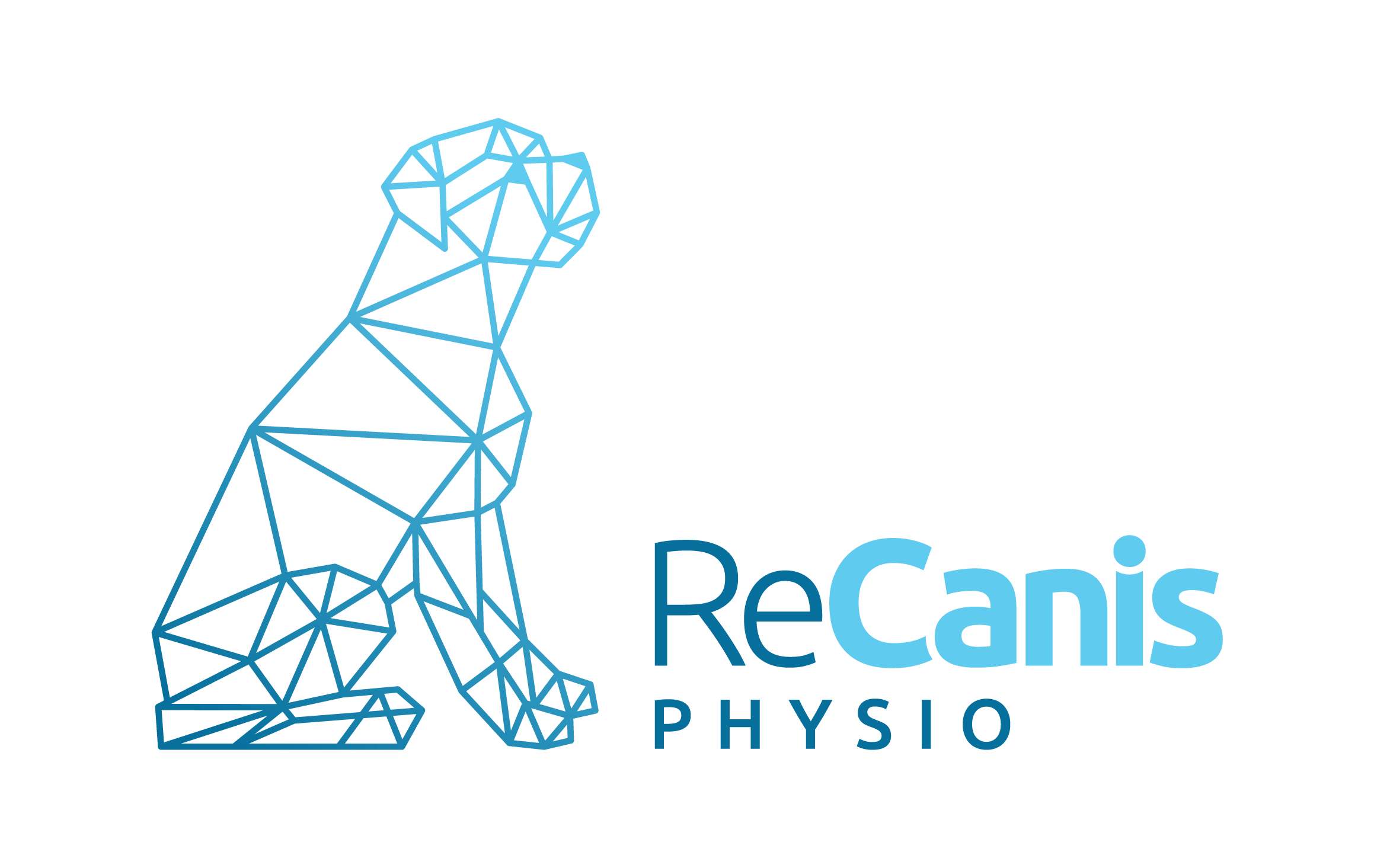 ReCanis Phyisio - kutya fizioterápia