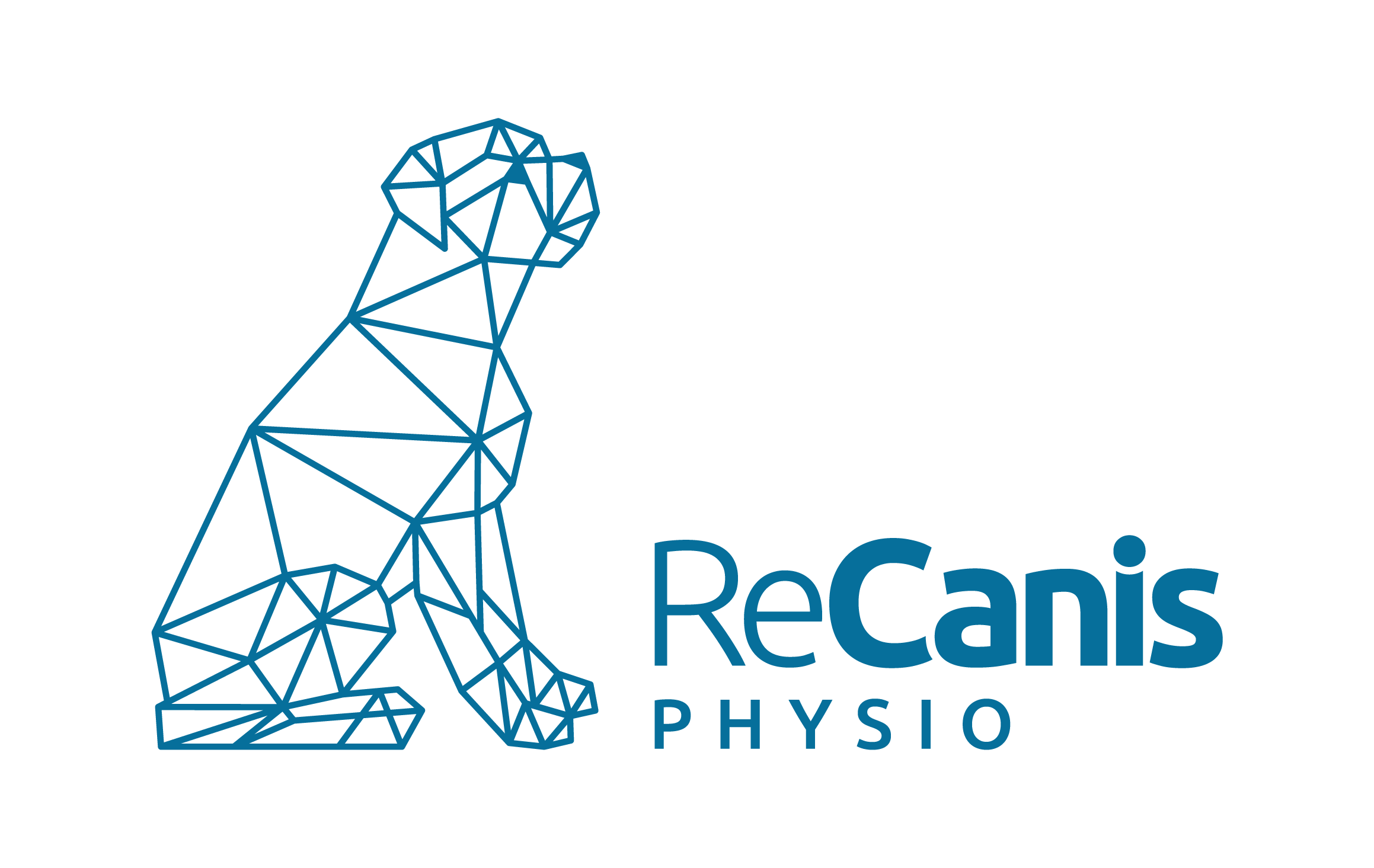 ReCanis Phyisio - kutya fizioterápia
